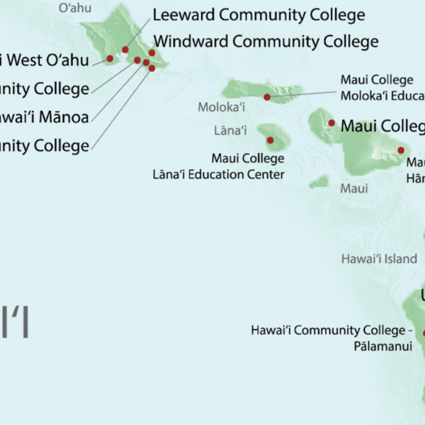 Reimagining General Education Across Hawaii’s 10-Campus System: Process, Product, and Lessons Learned