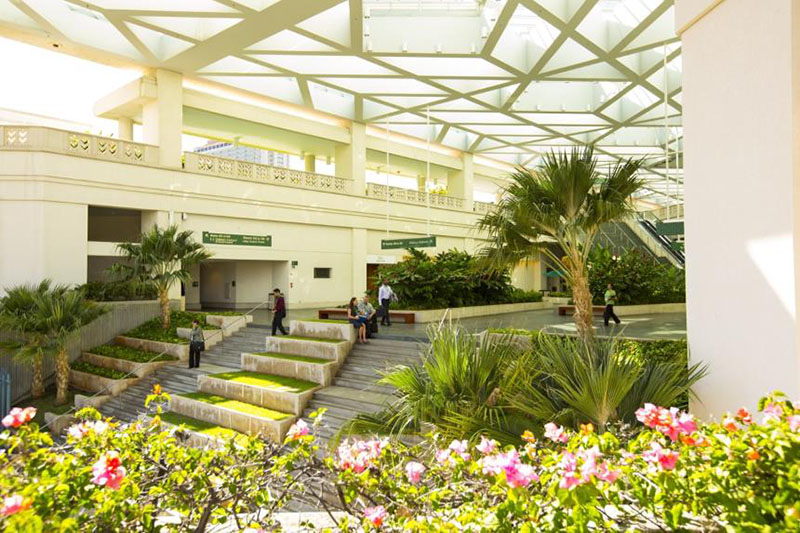 IICE/IICAH2024 Joins Hawai‘i Convention Center's Carbon Offset Program for a Sustainable Future
